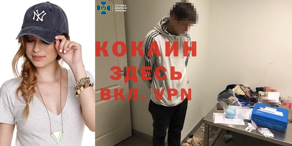 Альфа ПВП Пионерский