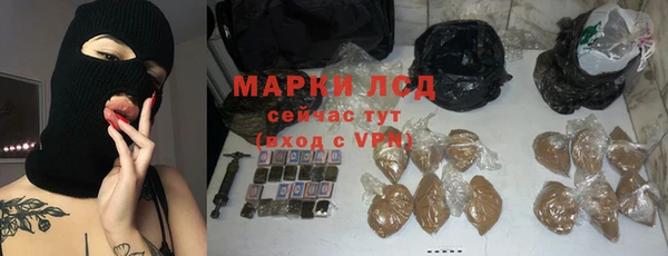 крисы Чегем