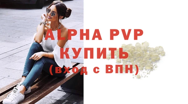 индика Чердынь