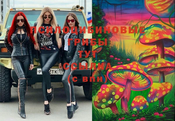 индика Чердынь