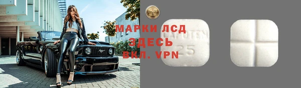 крисы Чегем