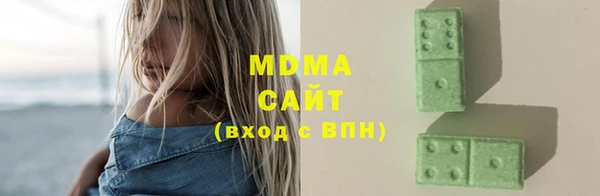 индика Чердынь