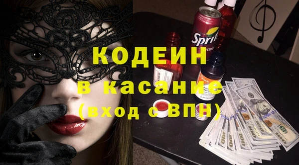индика Чердынь