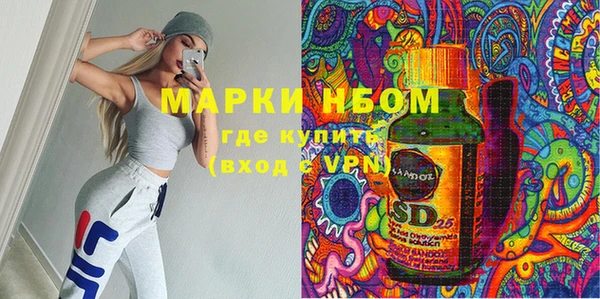 индика Чердынь