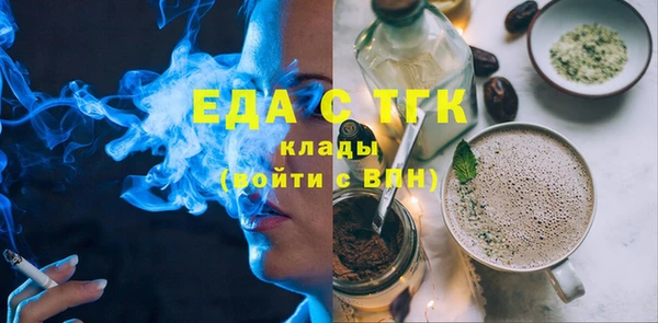 индика Чердынь