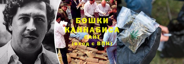 индика Чердынь