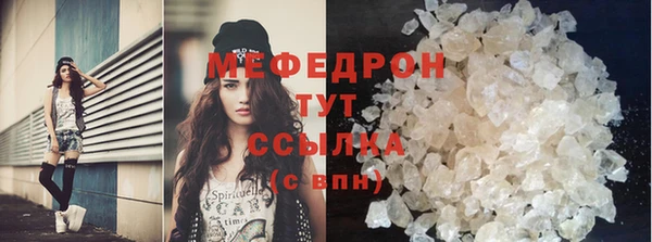 индика Чердынь