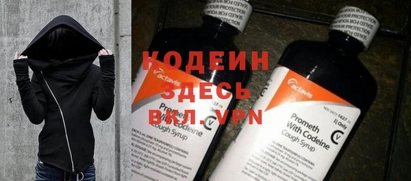 индика Чердынь