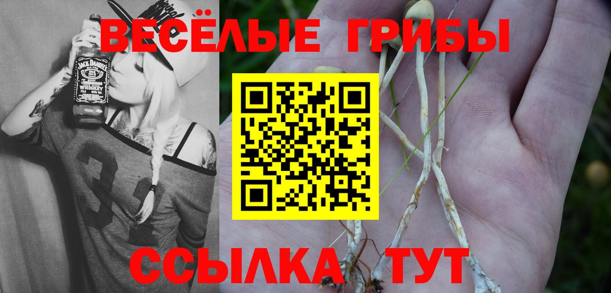 Псилоцибиновые грибы GOLDEN TEACHER  Псилоцибиновые грибы ЛСД  Кемерово 