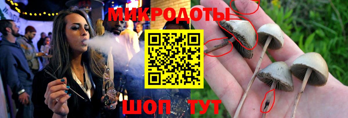 Галлюциногенные грибы GOLDEN TEACHER Кемерово